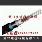 24芯长飞光纤烽火光缆GYTA53-24B1.3 双铠装双层护套直埋单模光
